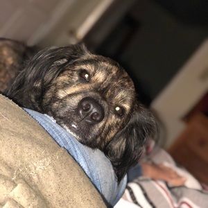 Meet your Posher, Morgan